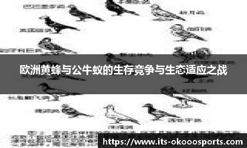 欧洲黄蜂与公牛蚁的生存竞争与生态适应之战